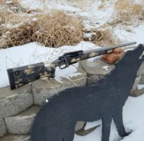 Custom 6x47 Lapua rifle. Terminus action, pillar and glass bedded side-folding AG Compostite stock.