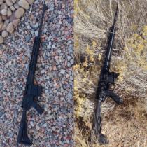 Custom AR-10 in .243 Win