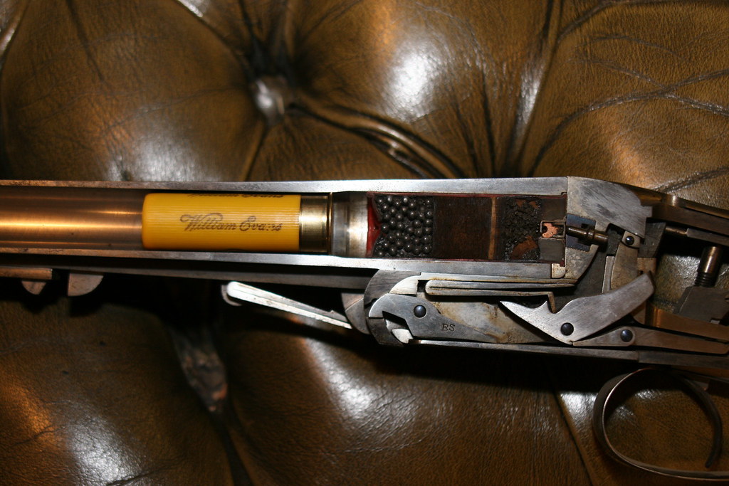 <span style="font-weight: bold;">Shotguns</span>